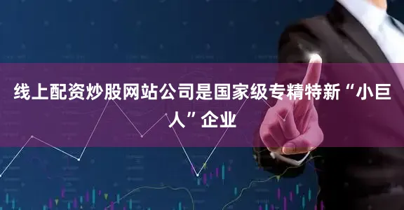 线上配资炒股网站公司是国家级专精特新“小巨人”企业